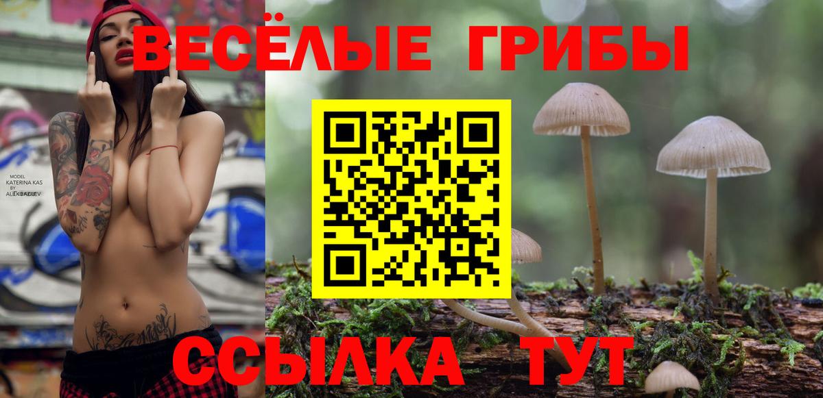 Галлюциногенные грибы Magic Shrooms Амурск