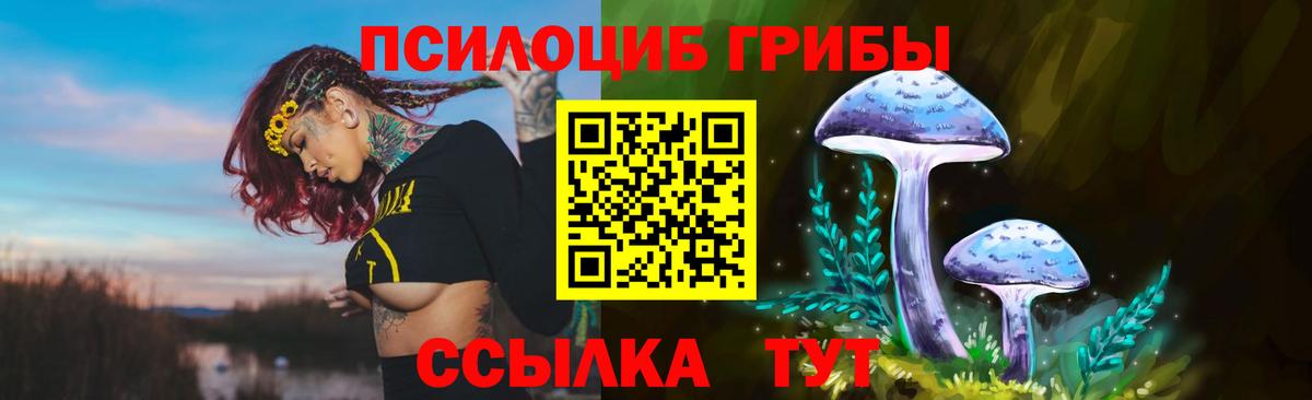 Амурск  Псилоцибиновые грибы мухоморы  хочу наркоту  Вход с VPN 